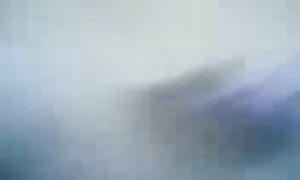 Кицька-це все порнофільми з сюжетом сука