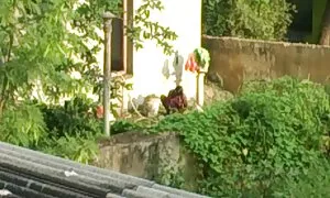 Великий онлайн порно фільми сюрприз, блядь